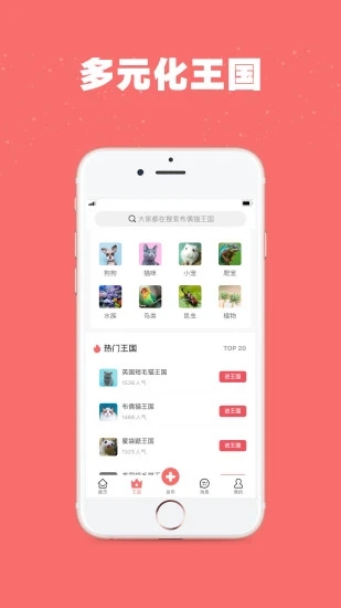 宠物王国 安卓版v4.8.5